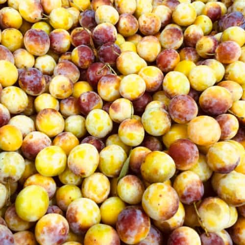 NOS MIRABELLES 100% BIO